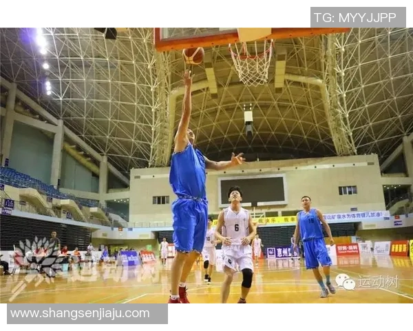 对话张强:回顾排球生涯的辉煌与挑战分享