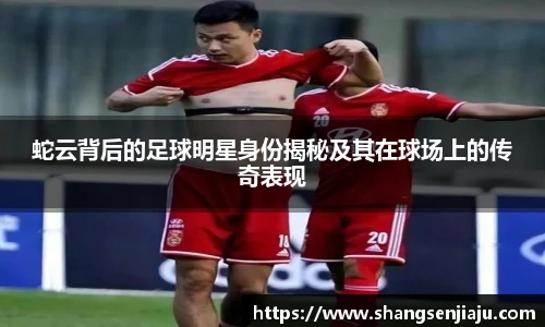 蛇云背后的足球明星身份揭秘及其在球场上的传奇表现